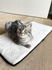 Lebon Fensterbankauflage für Katzen Banki 77 x 39 cm elfenbein Bild 2