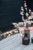 Gardissimo ARMATI Nonwood Alu-Gartentisch Gartenmöbel 180x115cm (oval) Bild 4