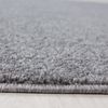 Kurzflor Teppich Alberto rund - 120 cm Durchmesser - Hellgrau Bild 2