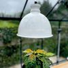 Bio Green Pflanzenleuchte Florabooster 500 W 6,5 W weiß Bild 2