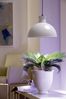 Bio Green Pflanzenleuchte Florabooster 500 W 6,5 W weiß Bild 3