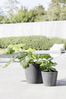 Ecopots Pflanztopf Amsterdam Ø 30 x 26 cm grau Bild 2