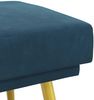 vidaXL Doppellagige Bank Blau 120 x 45 x 46 cm Samt 42038594 Bild 4