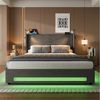 HAUSS SPOLE Polsterbett 160×200cm Doppelbett Jugendbett mit 2 Leselichtern & USB,Schwarz (hydraulischem Stauraum & integrierte USB-Anschlüsse & LED-Lichtleisten, dick gepolsterte Kopfteil,Stabiler Rahmen), für praktischen Komfort und Stil im Schlafzimm... Bild 2