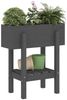 vidaXL Pflanzkübel Grau 62x30x69 cm Massivholz Kiefer 825235 Bild 3