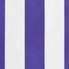 vidaXL Markisenvolant Blau und Weiß Gestreift 5 m 367748 Bild 5