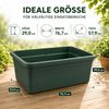 3X Elho Green Basics Beweglicher Garten - Gemüsegarten - Übertopf - Laubgrün - Draußen - L 76.7 x W 57.9 x H 29 cm Bild 5