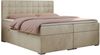 Boxspringbett, Doppelbett, Polsterbett mit Kopfstütze - CARMEN - 200x200cm - Beige Velours - H4 Bild 3