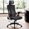 Bürostuhl Schwarz Mesh ergonomisch höhenverstellbar mit Kopfstütze & Lendenwirbelstütze Bild 2