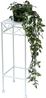 DanDiBo Blumenhocker Weiß Metall Eckig 50 cm Blumenständer 96314 S Beistelltisch Blumensäule Modern Pflanzenständer Pflanzenhocker Bild 4