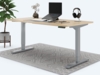 Desktopia Pro X - Elektrisch höhenverstellbarer Schreibtisch / Ergonomischer Tisch mit Memory-Funktion, Ahorn, Gestell Grau, 120x80 cm