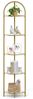 Vasagle Eckregal mit 5 Etagen, Ablagen aus Hartglas, rostfrei, goldfarben, 158 x 28 x 28 cm LGT810A01 Bild 1