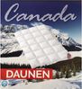 KÜNSEMÜLLER Daunenbettdecke Canada Daunendecke Ganzjahresdecke 135x200 cm Klasse 1 Künsemüller, Füllung: Entendaune, leichte Decke, weicher Bezug, Klasse 1 Bild 3