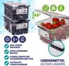 DEUBA® Aufbewahrungsbox-Set, 8-teilig, mit Deckel, 2 L Bild 4