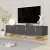 TV-Schrank Grau mit Goldakzenten, moderner Lowboard mit 4 Türen, viel Stauraum, Metallbeinen, gedämpften Scharnieren Bild 2