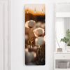 Bilderdepot24 Garderobenpaneel beige Blumen Floral Weiße Mohnblüten im Sonnenuntergang Design (ausgefallenes Flur Wandpaneel mit Garderobenhaken Kleiderhaken hängend), moderne Wandgarderobe - Flurgarderobe im schmalen Hakenpaneel Design Bild 2