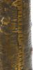 Dekovase Vase SERERO von Light & Living Blumenvase Ø10x40 cm Antik Bronze Bild 3
