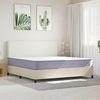 vidaXL Matratze Schaumstoff Mittelweich 200x200 cm 373016 Bild 2
