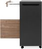 Finori Palma 35A Rollcontainer, anthrazit / Dekor Bambus | Rollcontainer für Büro | Maß: B x H x T ca. 50 x 96,5 x 43,5 cm | Rollcontainer mit 1 Tür, 1 Schubkasten und 1 offenem Fach Bild 5