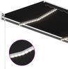 vidaXL Automatische Markise mit LED & Windsensor 300x250 cm Anthrazit 3068874 Bild 5