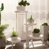 GarveeMore Blumenständer Neu Metall-Pflanzenständer Zusammenklappbares mehrstufiges Blumenregal, Kleine Topfpflanzen-Treppe Display-Regal Mit abnehmbaren Tabletts Bild 4