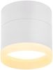 Nettlife LED Aufbaustrahler Schwarz/Weiß Rund Deckenstrahler 5W Spot Aufbauleuchte Klein Acryl, LED fest integriert, Warmweiß, GX53 Warmweiß Flach Aufputz Strahler Deckenspot 3000K Bild 5