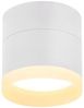 Nettlife LED Aufbaustrahler Schwarz/Weiß Rund Deckenstrahler 5W Spot Aufbauleuchte Klein Acryl, LED fest integriert, Warmweiß, GX53 Warmweiß Flach Aufputz Strahler Deckenspot 3000K Bild 4