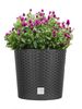 BigDean Blumentopf 25cm - Rattan-Optik - Anthrazit - Pflanzkübel mit Einsatz - Rattan-Blumentopf Pflanztopf rund - In / Outdoor - Höhe 22,5 cm Bild 2