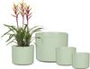 Scheurich , Blumentopf aus Keramik, Farbe: Linden Green, 27,8 cm Durchmesser, 25,8 cm hoch, 19,939l Vol. Bild 2