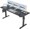 Elektrischer höhenverstellbarer Schreibtisch 160x60cm Memory-Handsteuerung Bild 1