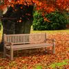 CLP Teakbank Jackson V2 Gartenbank mit Rückenlehne wetterfest stabil massiv,teak 220 cm Bild 5