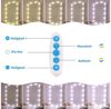 TUWENA LED-Lichtspiegel 5M Spiegelleuchte mit 45 Leds, 5 Farben Dimmbar Spiegel Beleuchtung, Make Up Licht, Schminktisch Beleuchtung, LED Schminkspiegel Kit Bild 3