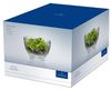 Villeroy & Boch Boston Coloured Dessertschale ø 11,7 cm grau Bild 5