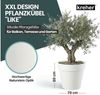 Kreher Pflanzkübel Rollbarer XXL Pflanzkübel "LIKE" Ø 79 cm in verschiedenen Farben (1 St) Bild 2