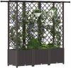 vidaXL Hochbeet mit Rankgitter und Dach Braun 163,5 x 40 x 136 cm PP 42032525 Bild 3