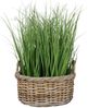 Natur Rattankorb NORDERNEY Kubu Grey ca. 40cm Pflanzkorb Griffe Übertopf Korb Bild 2