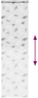 vidaXL Duschrollo mit Kassette 80x240 cm Stoffbreite 76 cm 4014977 Bild 5