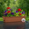 4x Blumenkasten 80cm Balkonkasten mit Wasserspeicher terrakotta, 18 L - Blumenkästen wetterfest Pflanzkasten mit Einsatz für Garten und Balkon witterungsbeständig Bild 2