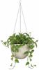 Scheurich Blumentopf 21/835 Hanging Pot, Blumentopf aus Keramik, ØxH: 22x16,8 cm Bild 2