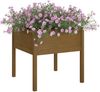 vidaXL Pflanzkübel 2 Stk. Honigbraun 70x70x70 cm Massivholz Kiefer 810816 Bild 3