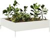 vidaXL Hochbeet Weiß 100x100x33,5 cm Stahl 851025 Bild 3