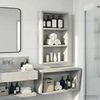 vidaXL Badezimmer-Wandschrank Betongrau 30 x 10 x 50 cm Holzwerkstoff 889314 Bild 4