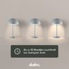 skølm 'Aeriala' LED-Tischlampe kabellos, mit USB-C aufladbar, inkl. 3 Helligkeitsstufen, grau, warmweißes Licht (Energieklasse G) Bild 4