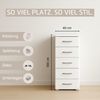 rauch Aditio Box, Kommode, 5 Schubladen, mit Softclose-Funktion, Farbe Grau metallic, BxHxT 40x100x42cm Bild 5