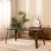 Bronx71 Esstisch Flint Eiche dunkel 220 x 100 cm Bild 5