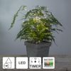 Best Season LED-Lichterbouquet, Metall, Chrom, 710-32 Bild 2