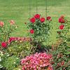 3er Set Tomatenturm 91 cm 10049282 Bild 5