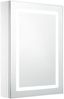 vidaXL LED-Bad-Spiegelschrank 50 x 13 x 70 cm, Mit Beleuchtung [285116] Bild 2