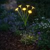 3er Set LED Solar Steckleuchte, Blumen, H 70 cm Bild 3
