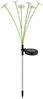 3er Set LED Solar Steckleuchte, Blumen, H 70 cm Bild 5